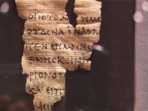 papyrus-p52-
